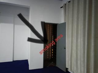 Home stay horizonstar - 1