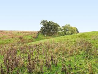 The Old Chapel - Hury - 9
