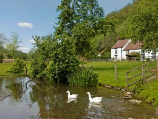 Ashberry Cottage - Rievaulx - 8