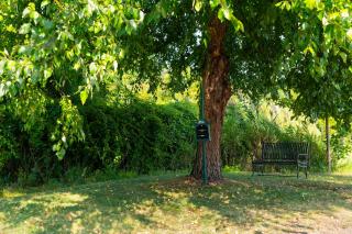 Homewood Suites by Hilton Hartford South-Glastonbury - Glastonbury - 5