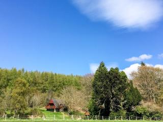 Pine Lodge - Uk7049 - Glenurguhart - 0