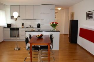 Executive 1BD flat in city center - Hösch 3 - Zurigo - 0