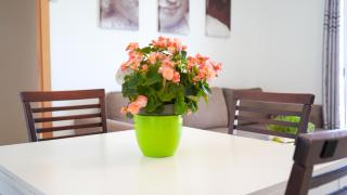 APARTAMENT LO COR DEL DELTA - 8