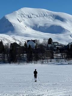 Observation Aurora - 4