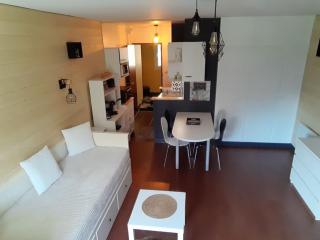 Studio pistes La Bresse Hohneck - La Bresse - 9