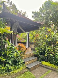 Rumah Kelinci - 3