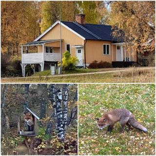 Holiday Home Letten Lake - Letafors - 6