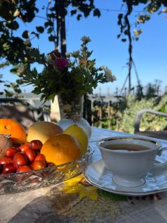 Apartmani Gazivode - Budva - 9