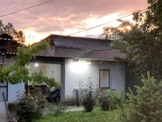 Ainazik guest house - 2