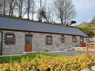 Eithinog - Talybont - 0