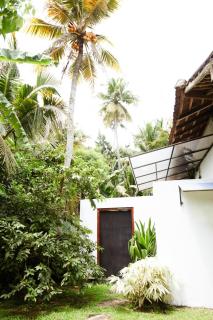 The Artist's Cottage Garden View Suite - Ahangama - 6