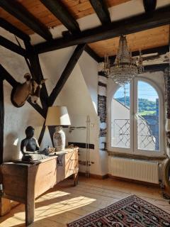 Antikes Haus an der Mosel - Kinheim - 7