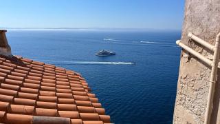 Pacini - Bonifacio - 7