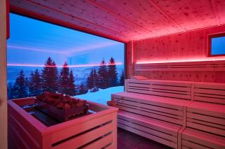 Natur- & Genießerhotel Der Birkenhof - 5