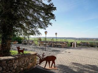 Landgasthof/Hotel Hirsch im Grünen - Mehrstetten - 1