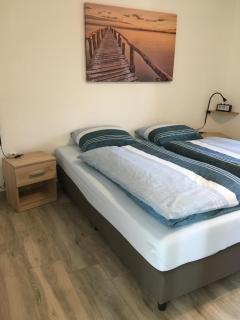 Bungalow op bedrijf met melkkoeien - De Cocksdorp - 1