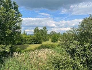 Gîte des Comtes du Perche 2 logements indépendants de 40 et 25 m2 - Val-au-Perche - 5