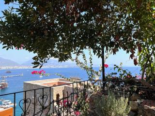 The House of Anne - 1