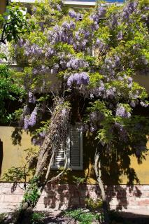 Appartamento a Perugia - Perugia - 6