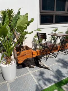 Ohayo Tam Coc Homestay - Ninh Binh - 1