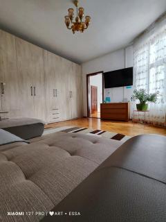 Apartament Buon Gusto,near Main Square and Liar Bridge,historical side of city center Sibiu - Sibiu - 2