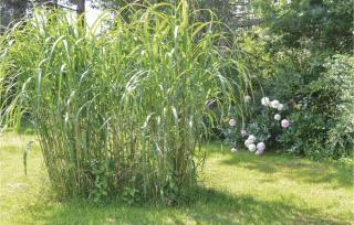 Three-Bedroom Holiday Home With A Fireplace In Melby - 1