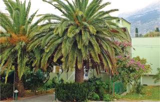 Apartment Makarska 07 - Makarska (Macarsca) - 7