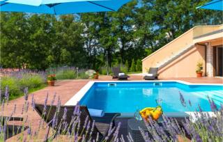 Villa Brazzana - Buzet - 3
