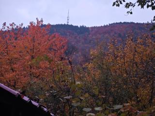 Mansarda din Poveste - Braşov - 9