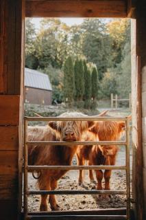 Highland Farms - Your Private Forest Farm - Brightwood - 6
