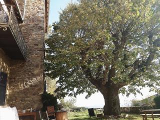 Chateau De Riverie chambres et table d'hôtes - 1
