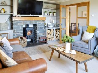 Maes Y Bryn Farmhouse - Llanwrda - 8