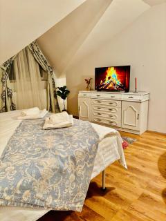 Confort Luxury Center Villa- langa Mitropolie si Palas - Iaşi - 5