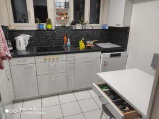 Single room in very quiet and cosy house with garden - Dübendorf - 4