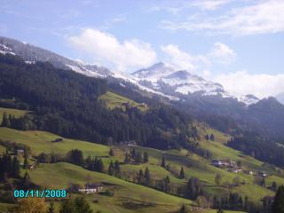 Hagauhof - Kirchberg in Tirol - 8