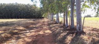 Rancho Cata Vento - Santa Clara dʼOeste - 1