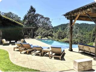 Secluded Vineyard Estate Healdsburg - Healdsburg - 9