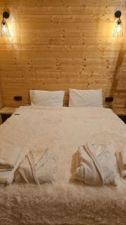 mood villa kazbegi - Kazbegi - 3