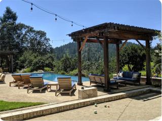 Secluded Vineyard Estate Healdsburg - Healdsburg - 8