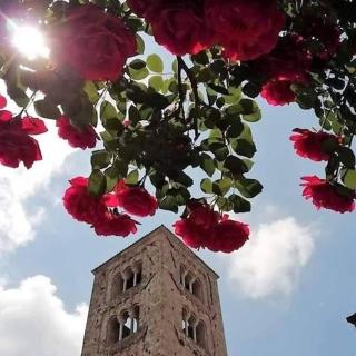 Nido d'amore - Anagni - 5