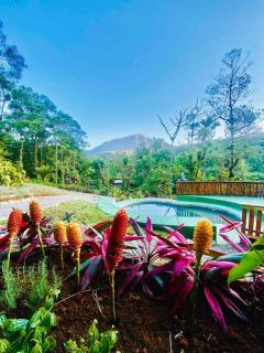 Linda Casa com piscina exclusiva e vista para a Serra do Mar - Morretes - 0