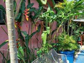 Vila Santa Rosa - Ilhabela - 8