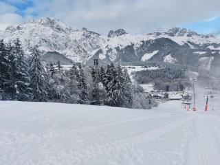 Ferienhaus Scheiber - 8