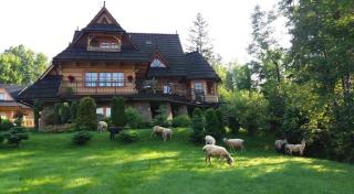 Sopalowka - Kościelisko - 1