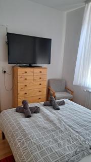 Schöne Wohnung in Worms Private Gastgeber - Worms - 7