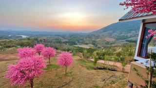 Sirine Onsen รีสอร์ทออนเซนวิวทะเลหมอก - Khao Kho - 5