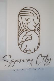Szarvas City Apartman - Szarvas - 7
