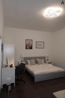Cozy apartment in Prague 3 - Prague - 1