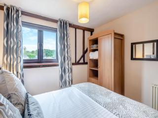 Plover - Uk48174 - Colchester - 1