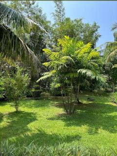 New Holiday Reach - Unawatuna - 9
